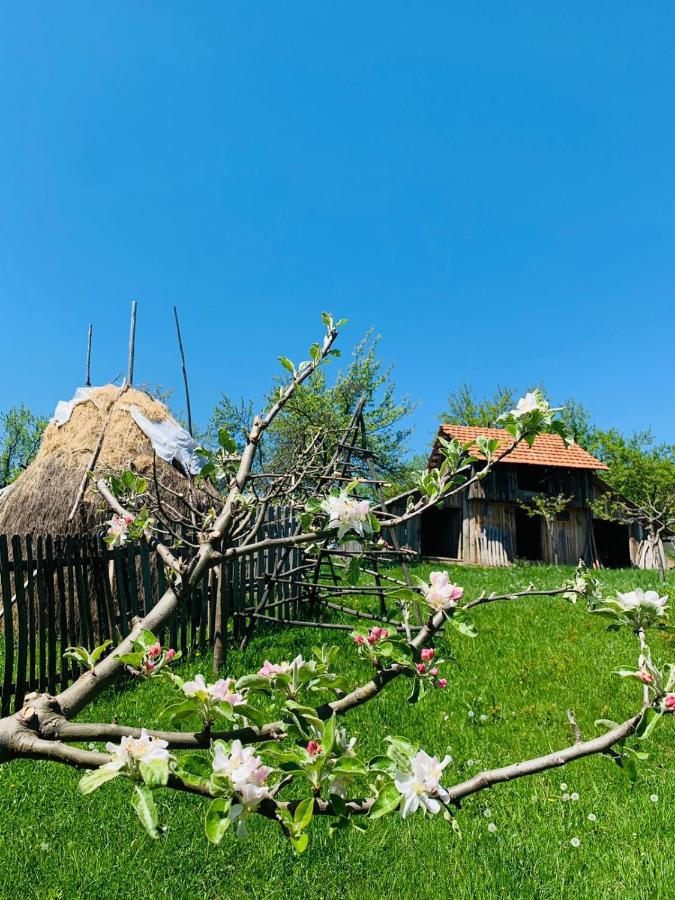 Hotel The Story Garden à Corbi Extérieur photo